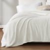 Microfleece Blanket Twin